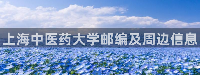 ag九游会登录网站