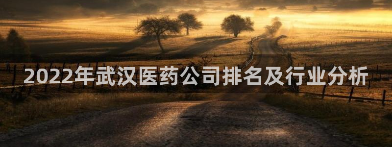 九游j9官方旗舰店