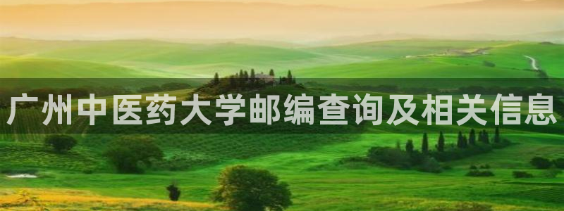 九游会官网网址是多少