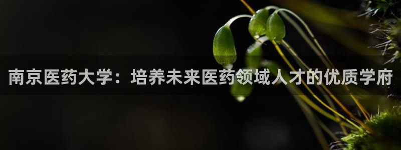 九游会ag首页
