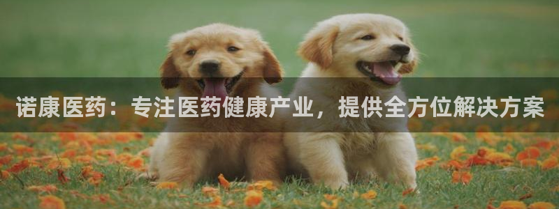 J9九游会手机登录