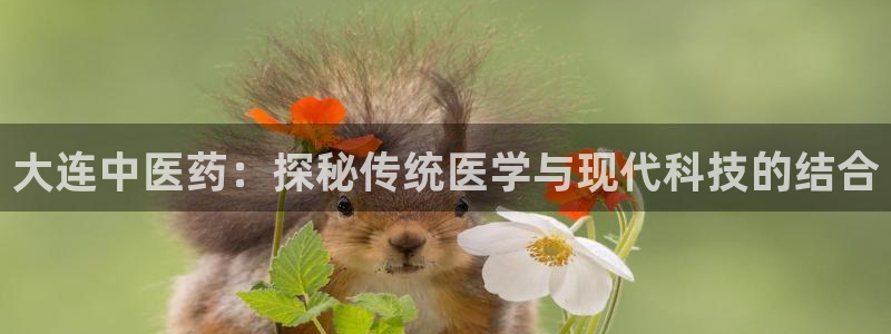 九游会第一真人视频游戏