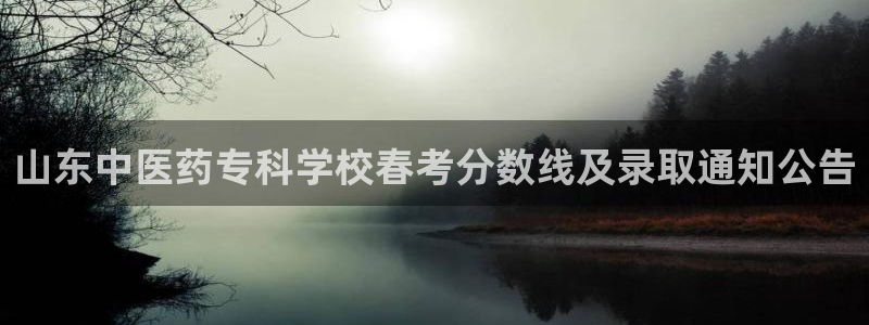 九游j9打不开