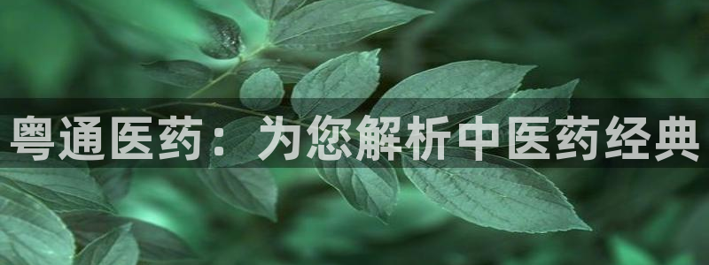 九游会ag亚洲