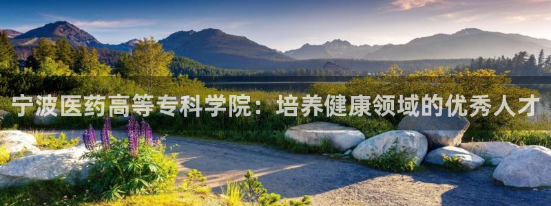 九游会官网进入