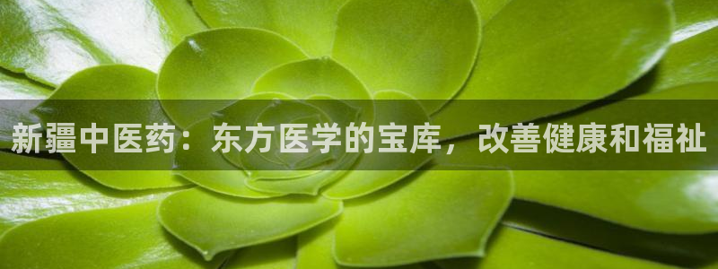 j9九游会网址是什么