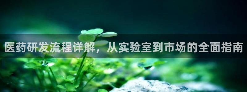 九游会官网j9
