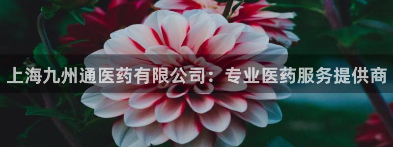 九游会官网ag旧版