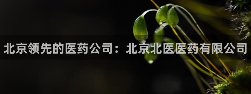 九游会AG下载手机端