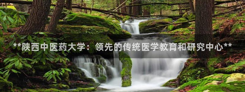 九游会官方登入