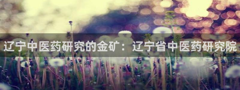 J9九游会国际站