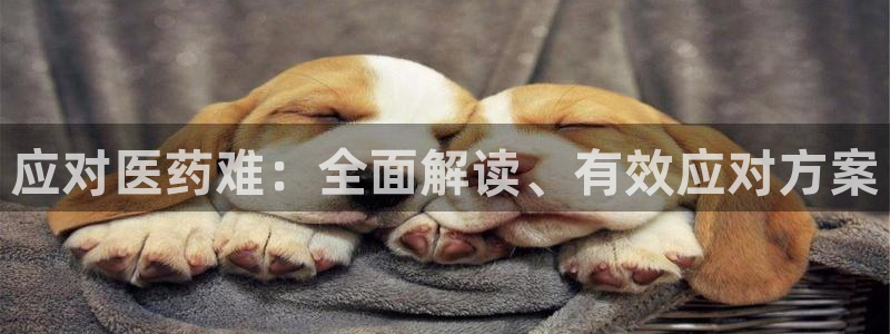 九游会官网真人认证吗