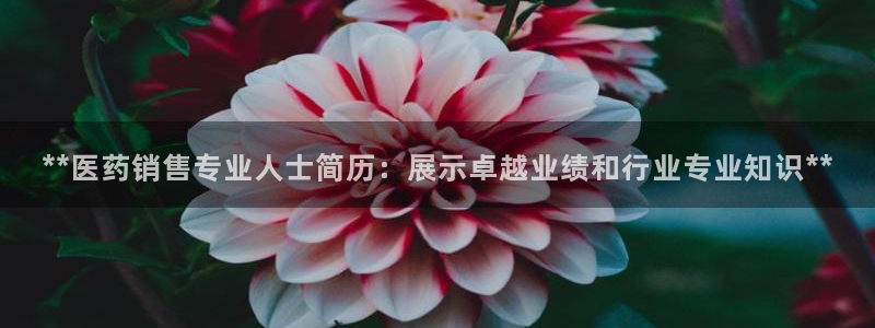 九游会AG登录