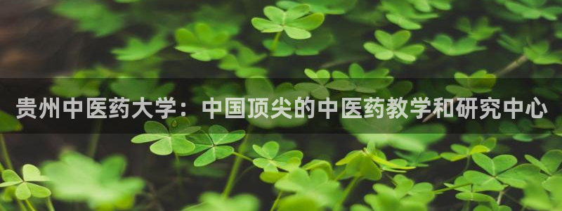 j9九游会app官网下载