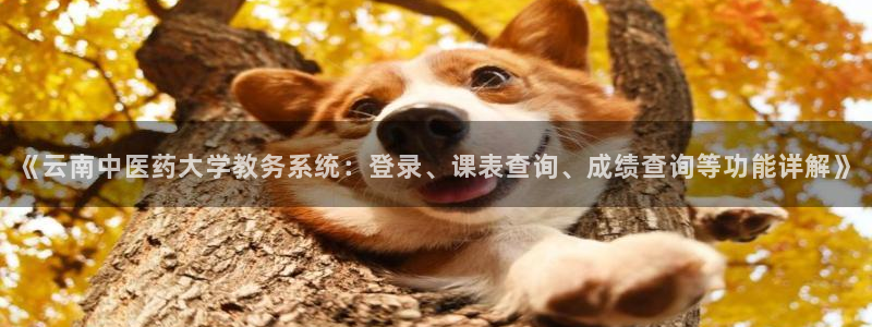 J9九游会俱乐部