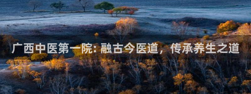 九游会官网真人认证吗
