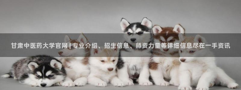 九游会老哥俱乐部官网